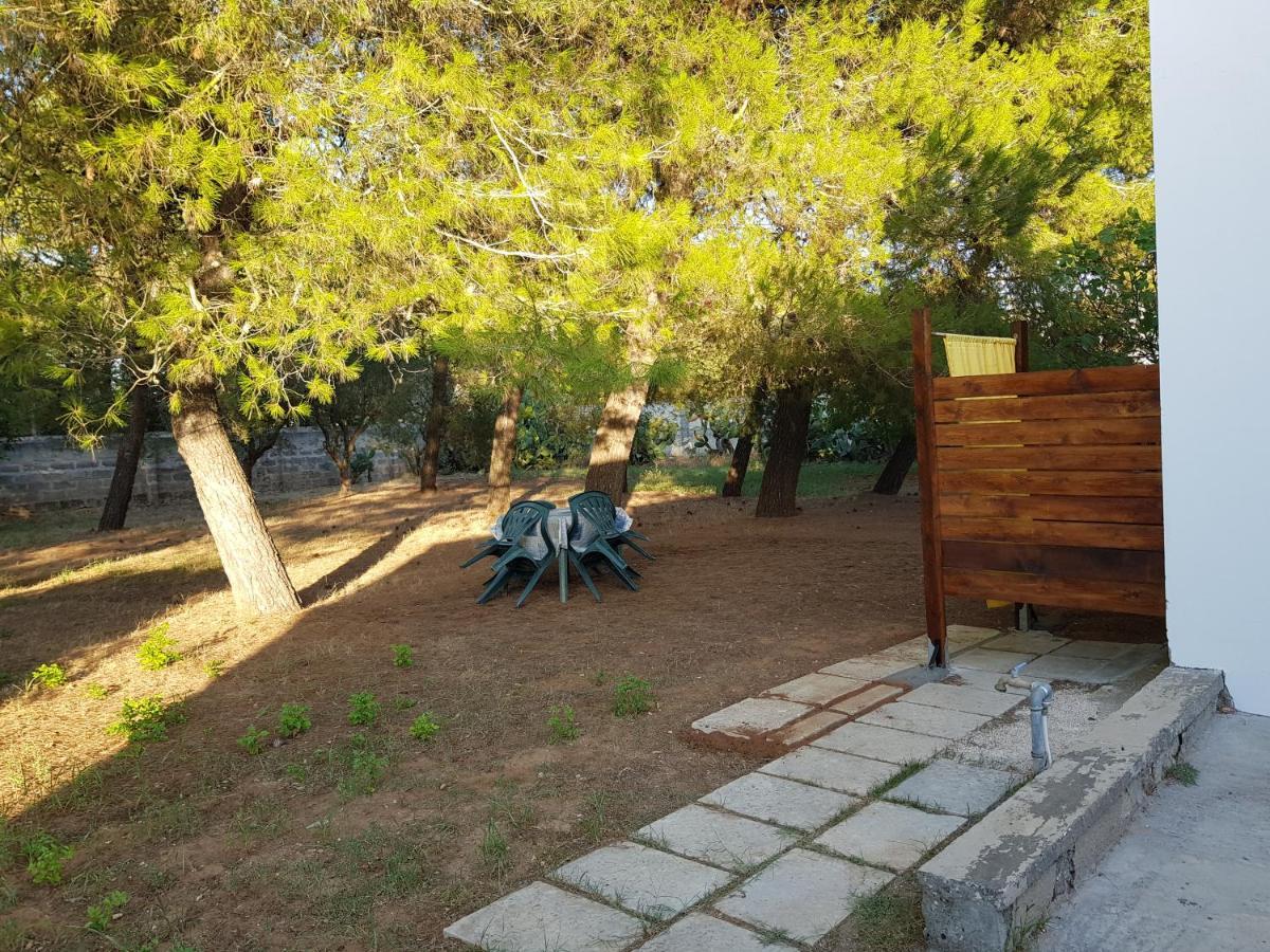 Casa Vacanze Salento - Villa Diso غالاتينا المظهر الخارجي الصورة