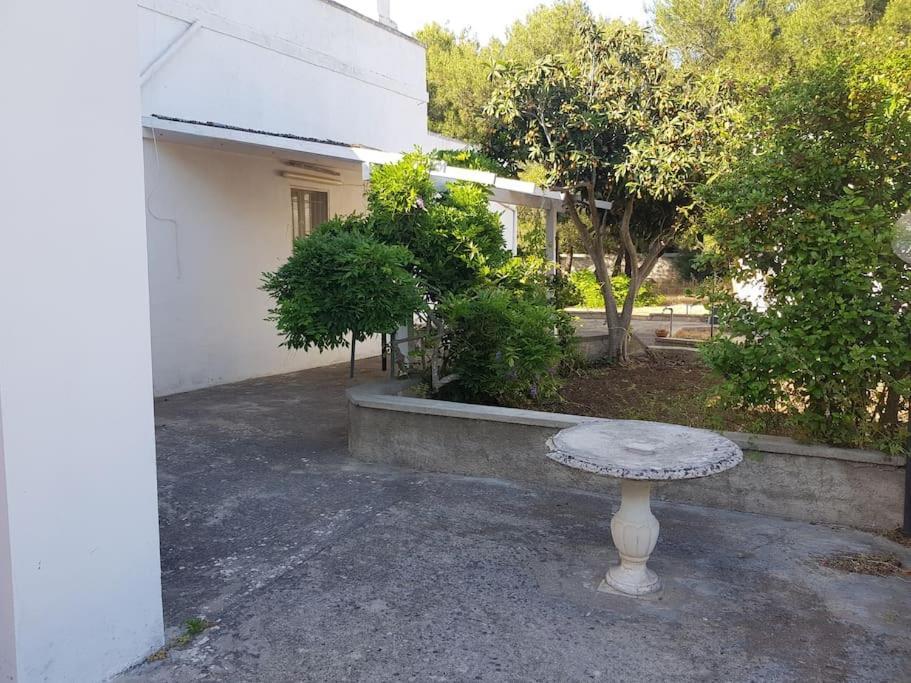 Casa Vacanze Salento - Villa Diso غالاتينا المظهر الخارجي الصورة