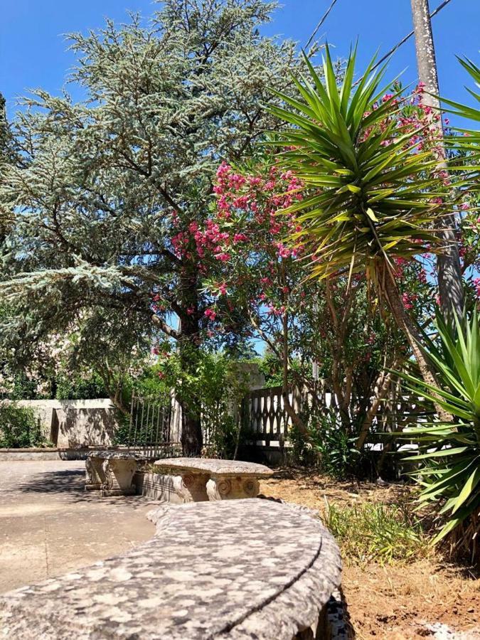 Casa Vacanze Salento - Villa Diso غالاتينا المظهر الخارجي الصورة